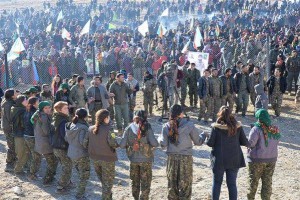 12540785_511756002360566_2311149797822679170_n