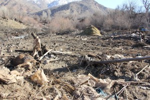 Zerstörung und Verwüstung