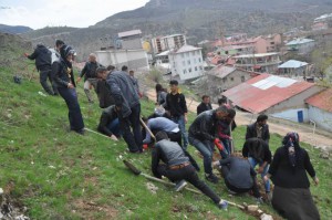 Çelê: Spezialeinheiten gegen Neubepflanzung