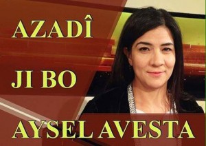 Aysel Avesta