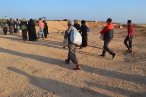 „Tut was ihr könnt, aber macht es jetzt. Rettet uns.“