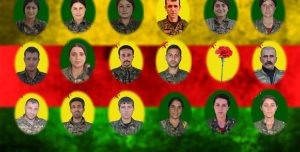 Identitäten der Şehids von Qereçox veröffentlicht