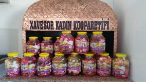 Frauenprojekte unter Zwangsverwaltung