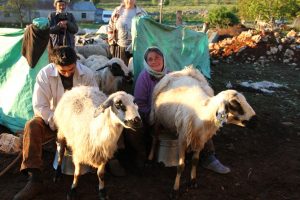 Dêrsim: Zugang zu den Hochalmen verboten