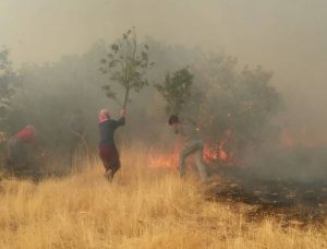 Der türkische Staat zerstört die Lebensgrundlagen der kurdischen Bevölkerung