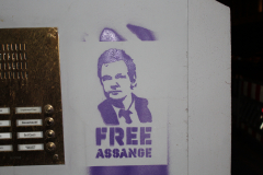Assange 1