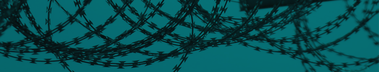 No Borders Soli Festival