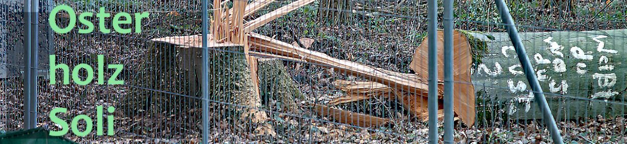 Osterholz-Soli
