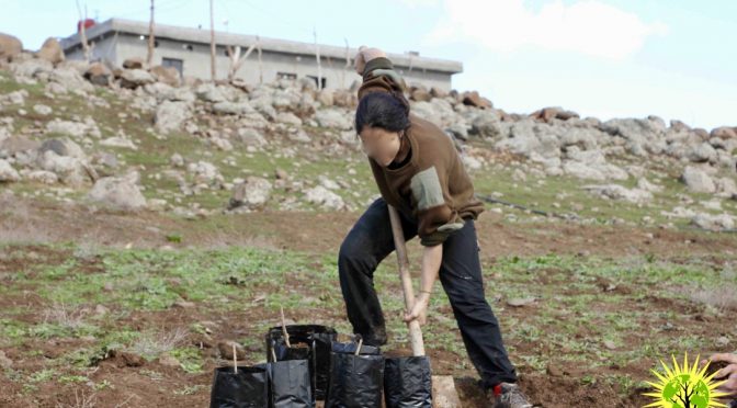 Die ökologische Gesellschaft aufbauen