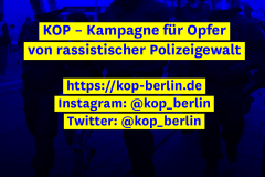 polizeiproblem_inis2