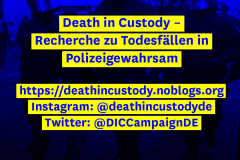 polizeiproblem_inis3