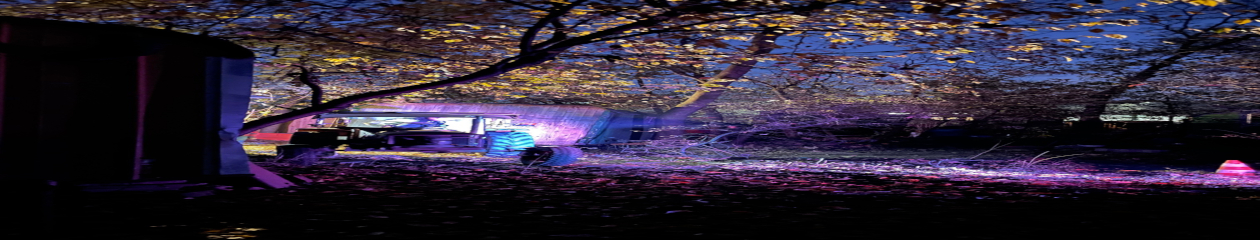 Wagenplatz Schattenpark – IG Nord Freiburg