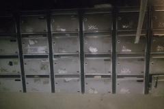 signal-2023-08-26-13-22-31-618-1