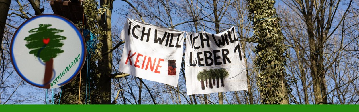 #SteiniBleibt | Storck stoppen!