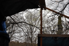 cleaned_DSC_2179 - Kopie