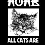 Blackkitchen Katzenprozess: Fällt aus