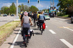 Merseburg1505-2-1024x683